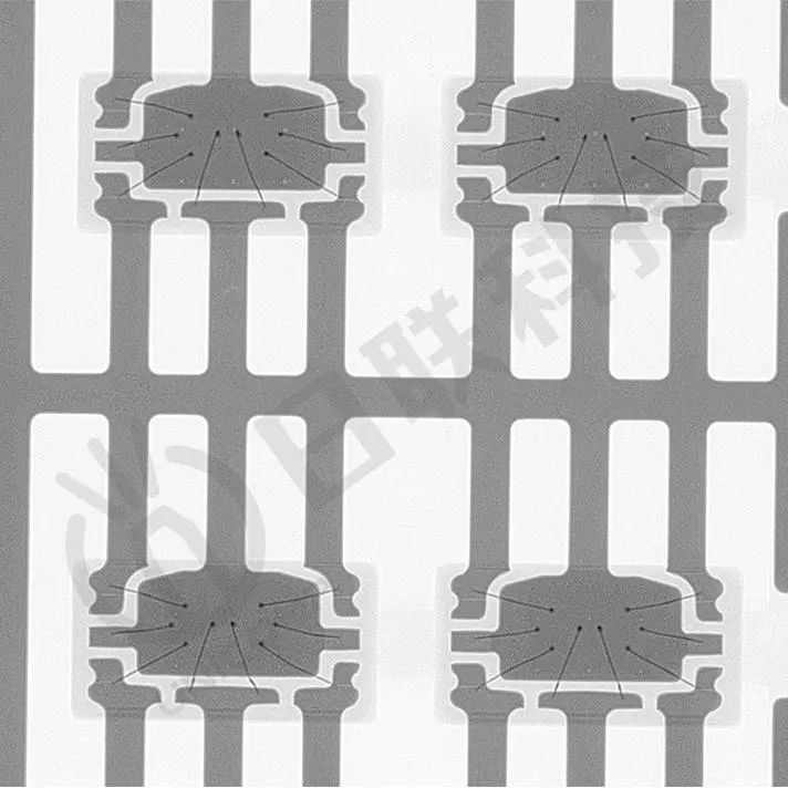 微信图片 _20250424110424