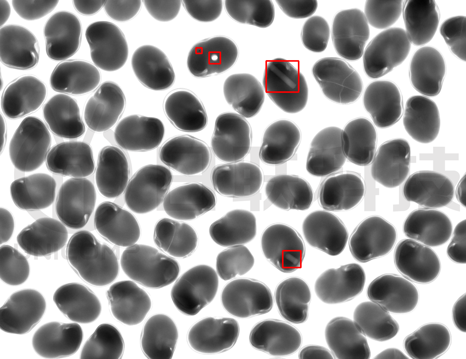 微信图片 _2025-09-16_170835_379